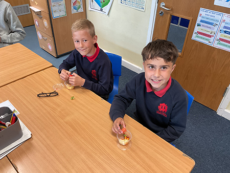 Red Oaks Primary School