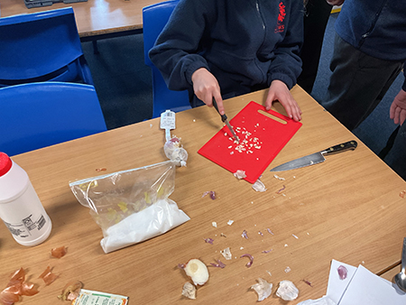 Red Oaks Primary School
