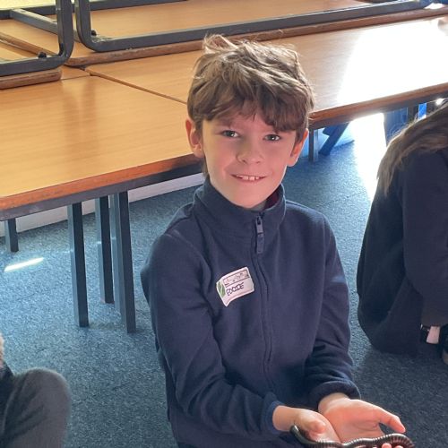 Jonathan's Jungle - Pear class